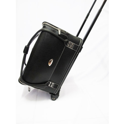 sorice tas gledek 20130625010400  large2